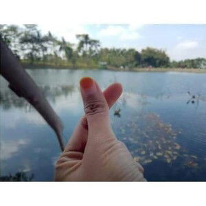 Nurul Ika Setyaningrum profile icon