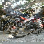 Budi Nurcaya profile icon