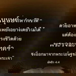 รักคน ที่เขารักเรา profile icon