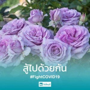 สู้ให้ถึงที่สุด. ตราบใดที่ยังหายใจ จิระศักชัยกุล profile icon