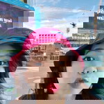 Pampas Tuntiwatthanasutthi profile icon