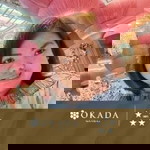 Melissa Santiago profile icon