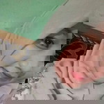 Diang Huda profile icon