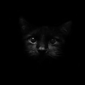 Kallayanee PamPuksa profile icon