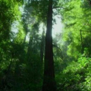 real life profile icon