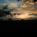 Lisa Manola profile icon