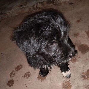 บี บี๋ profile icon