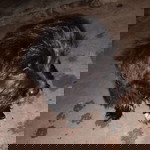 บี บี๋ profile icon