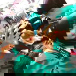 Devi Emelia profile icon