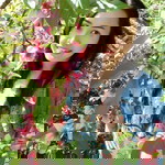 Khwamfan SweetDream profile icon