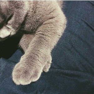 Lusia Sari Andantiwi profile icon