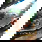 Chompoonuch Hatthawaikan profile icon