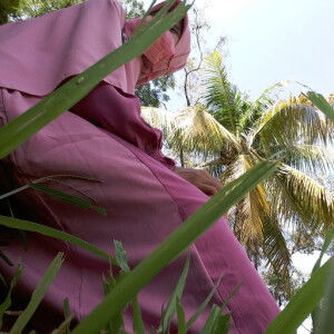 Lisnia Nur profile icon