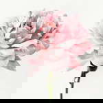 Dillah Ibrahim profile icon