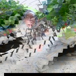 Chiraporn Phanchan Kim profile icon