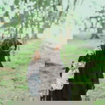 Nur Shazlinda profile icon