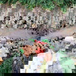 Rika Arlinda profile icon