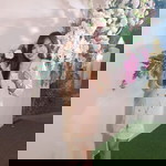 Looknun Butphet profile icon