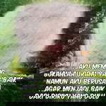 Maziana Sha'ari profile icon