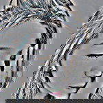 Kae Sineenart profile icon