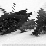 รุ่งนภา มีรสล้ำ profile icon