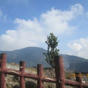 Zulfiana Anna profile icon