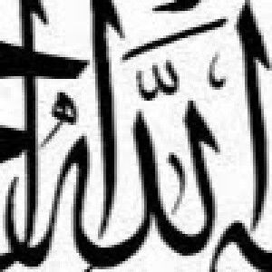 Anita Wahyu Budiono (not) profile icon