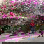 Sri Yuliana profile icon