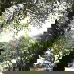 Trisnandemi profile icon