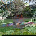 Nan Noosen profile icon