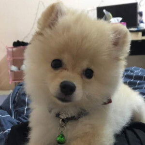 Khanthi b profile icon