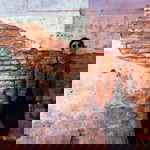 Tpk Chaitat profile icon