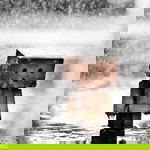 Thao My profile icon