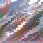 Koki Patcharavarat profile icon