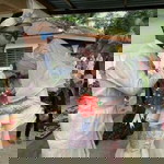 Nur Sheeraa profile icon