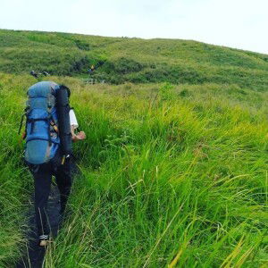 Mogie Ahmad profile icon