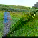 Mogie Ahmad profile icon