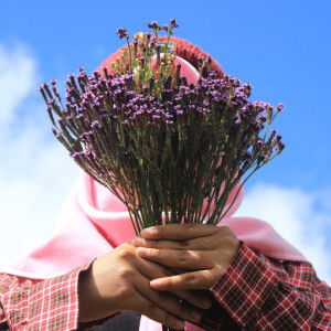 amarnia rahmawati profile icon