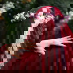 Risna Nur Alliah MR profile icon