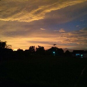 Dwi Puspitasari profile icon