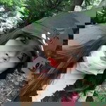 Naya Grajangsri profile icon