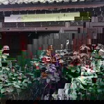 Teya Hafiz profile icon