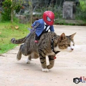 Gemini Aries profile icon