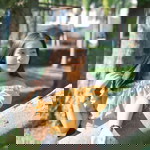 Kawaii’z Ruangkaw profile icon