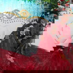 Cika Komalsari profile icon