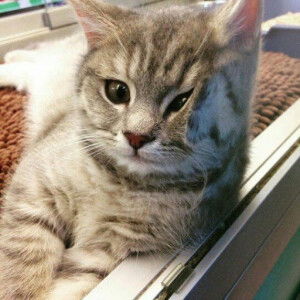 นุ่ม นิ่ม profile icon