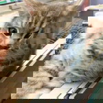 นุ่ม นิ่ม profile icon