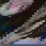 Jhe Gando Hernandez profile icon