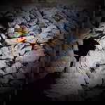 ฮาบีบะห์ อาแว profile icon