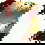 แว่นคุง คุงแว่น profile icon